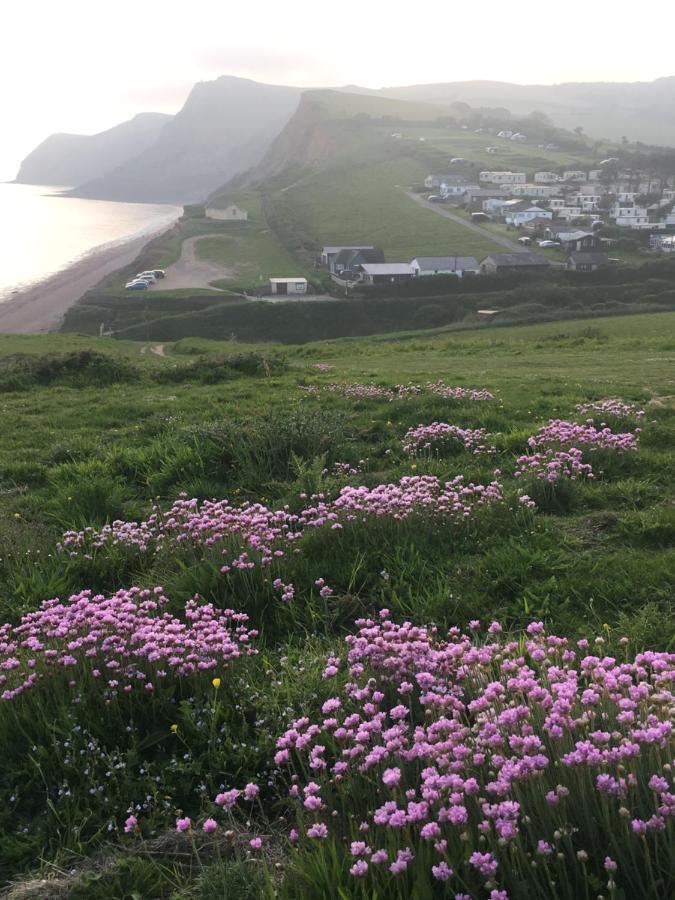 Heatherbell Cottage Guest Accommodation West Bay Exterior foto